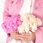 Immortelle du Var Rosa - Flor seca perfecta para creaciones DIY DIY x1tallo